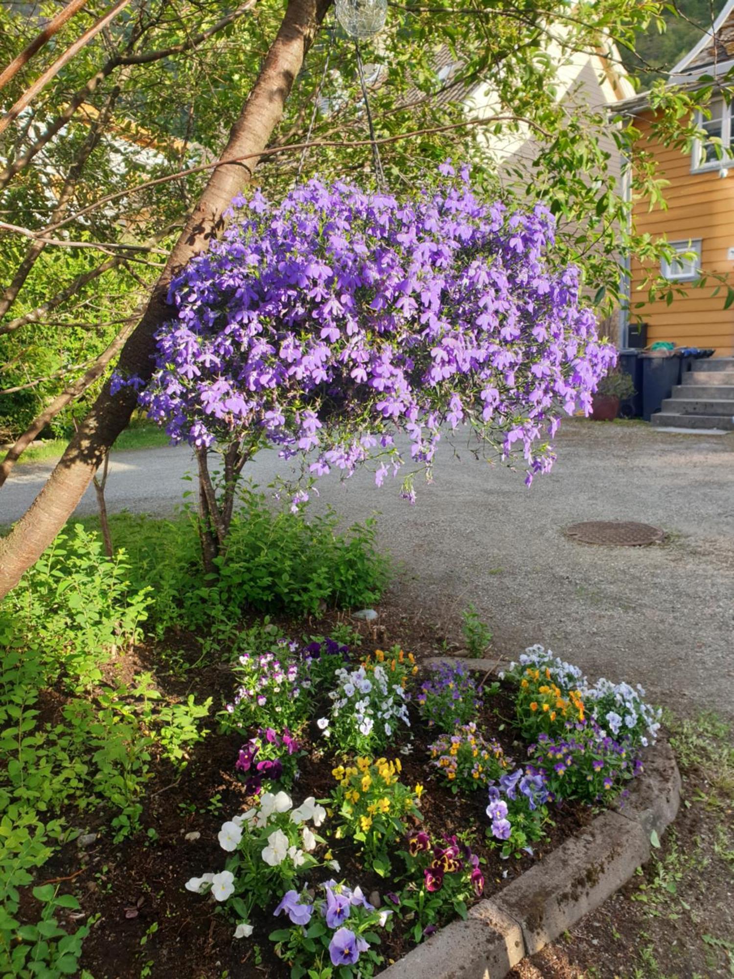 Kvammehuset Pa Gamle Laerdalsoyri Villa Exterior photo