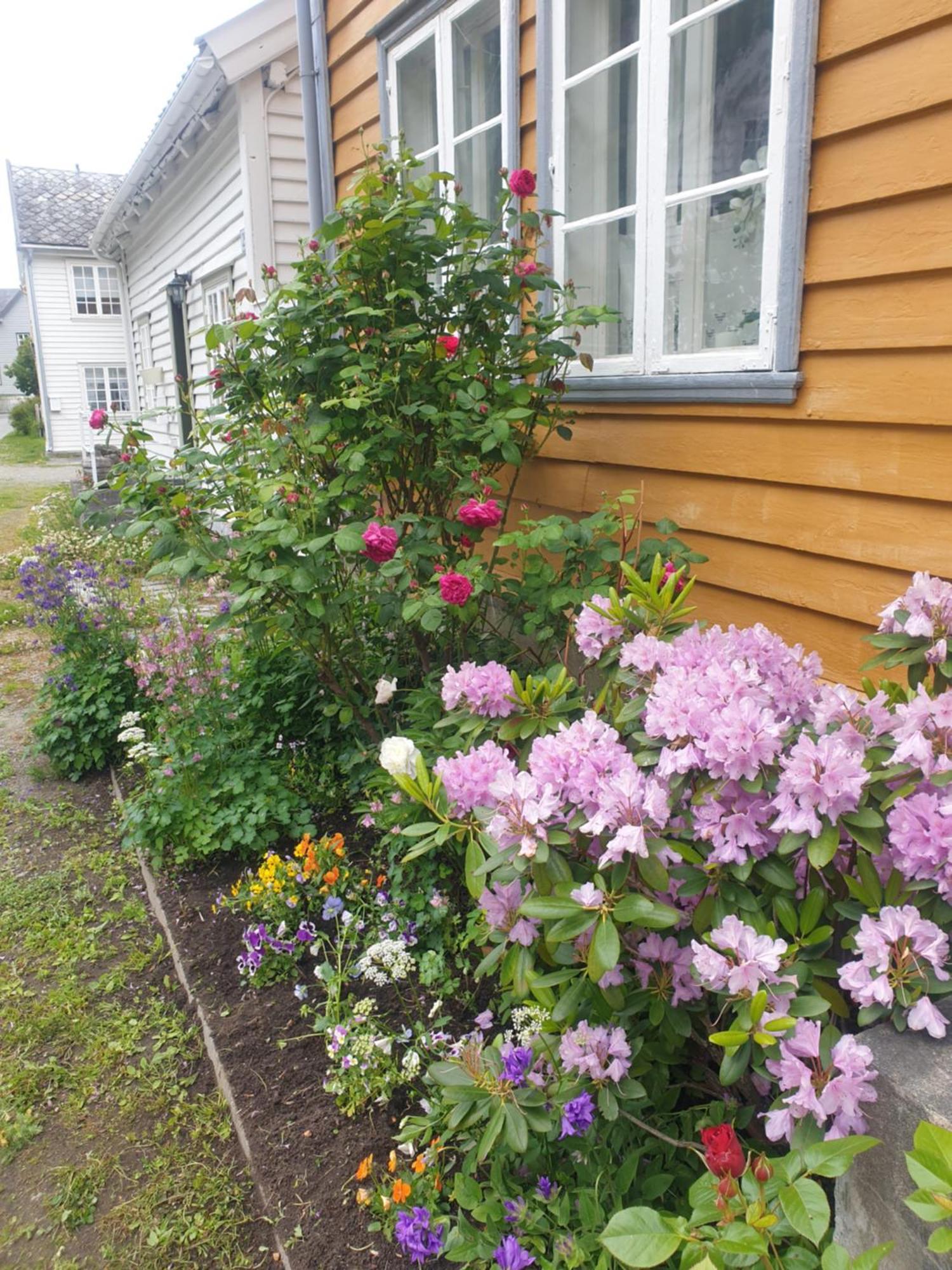 Kvammehuset Pa Gamle Laerdalsoyri Villa Exterior photo